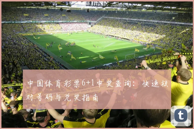 中国体育彩票6+1中奖查询:快速核对号码与兑奖指南